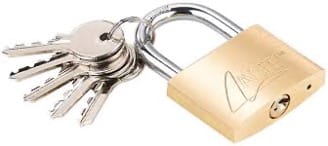 Série de cadenas en métal doré avec plusieurs clés, idéal pour sécuriser les cubes de stockage et les objets lors du déménagement ou du stockage.